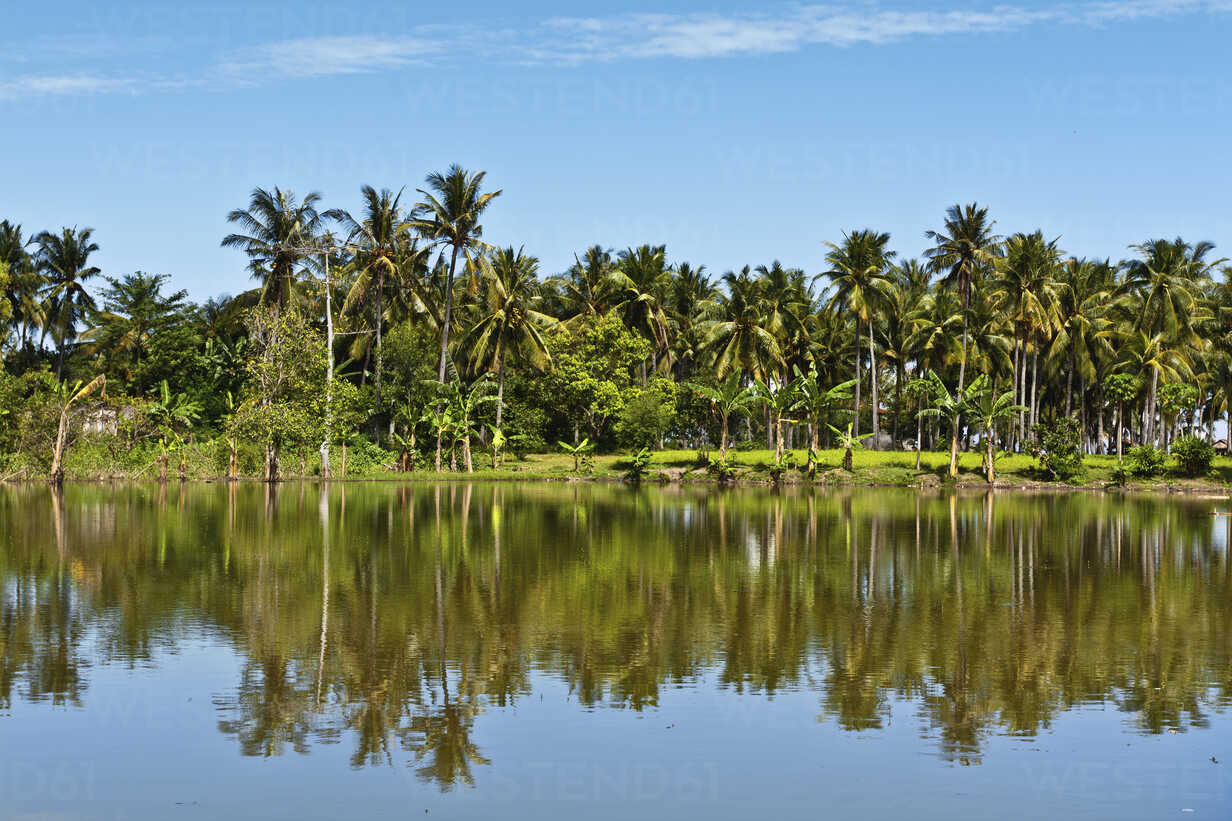 Indonesia Lombock View Of Palm Trees Reflecting In Water Wvf0006 Valentin Weinhaupl Westend61