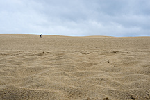 France Aquitaine Gironde Pyla Sur Mer Dune Du Pilat Running Boy On A Desertlike Sand Dune Jbf Jan Nadine Boerner Westend61