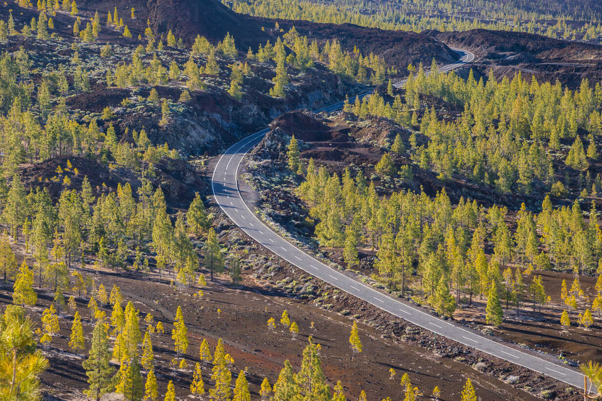 Spain Canary Islands Tenerife View From Mirador De Chio Teide National Park Canary Island Pines Pinus