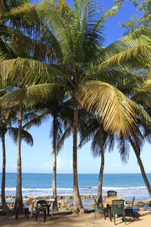 Caribbean Guadeloupe Basse Terre Coconut Palms At Beach Plage De Clugny Wlf Werner Lang Westend61