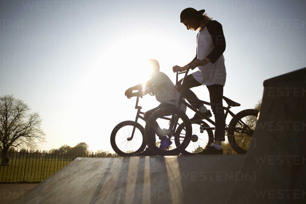 bmx bikes for men