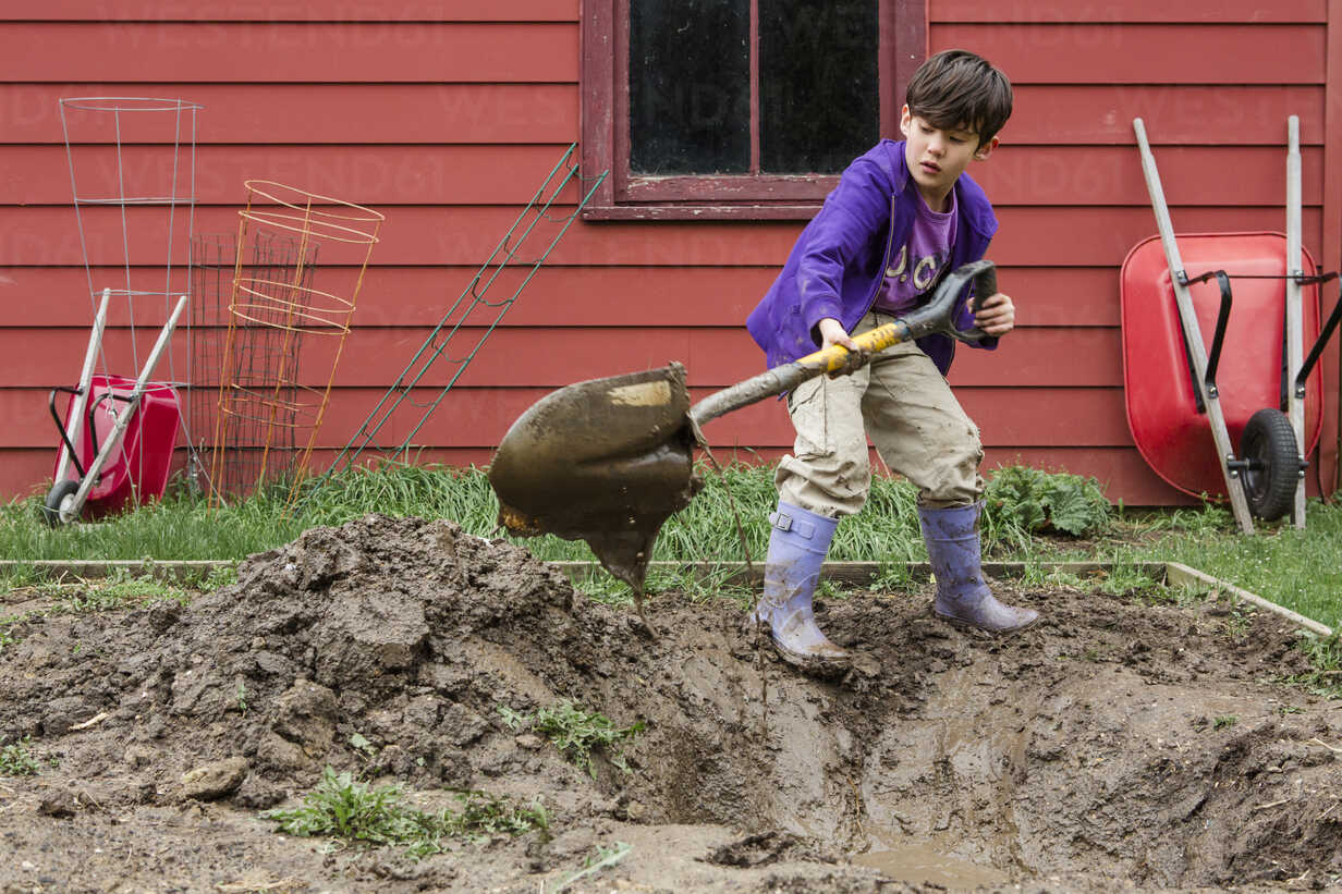 Boy Digging Field With Spade While Gardening At Backyard Stockphoto