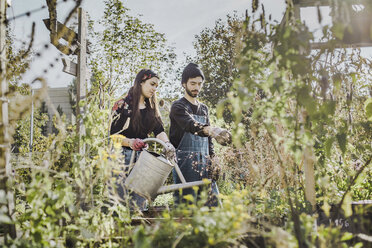 Happy Couple Gardening In Urban Garden Together Vgpf00002 Zoi
