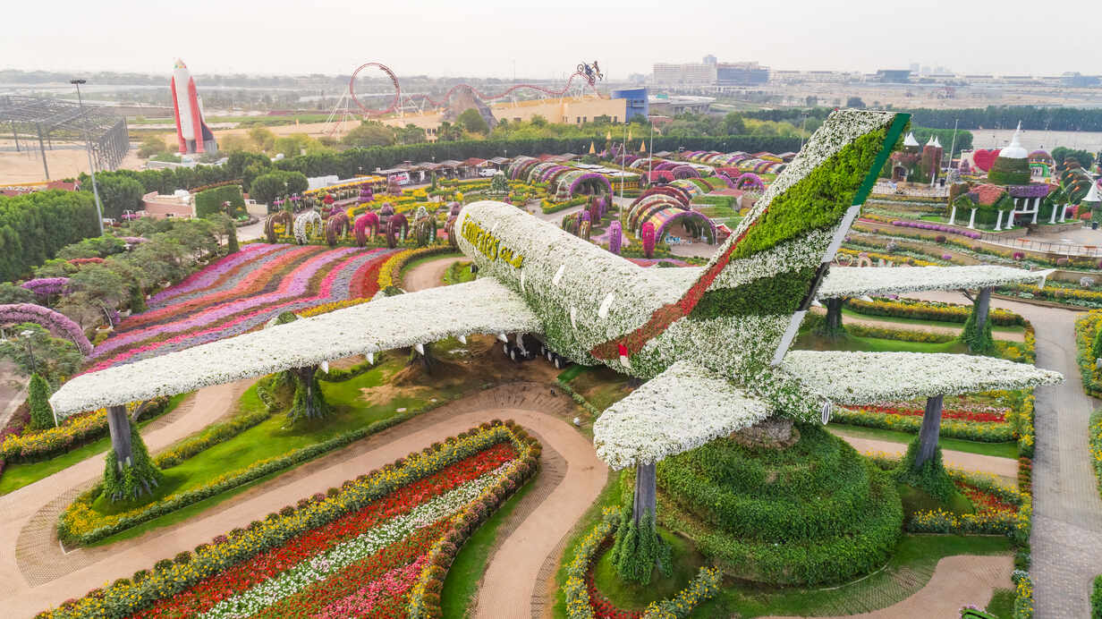 Aerial view of The unusual colorful Dubai Miracle Garden, United Arab  Emirates. – Stockphoto
