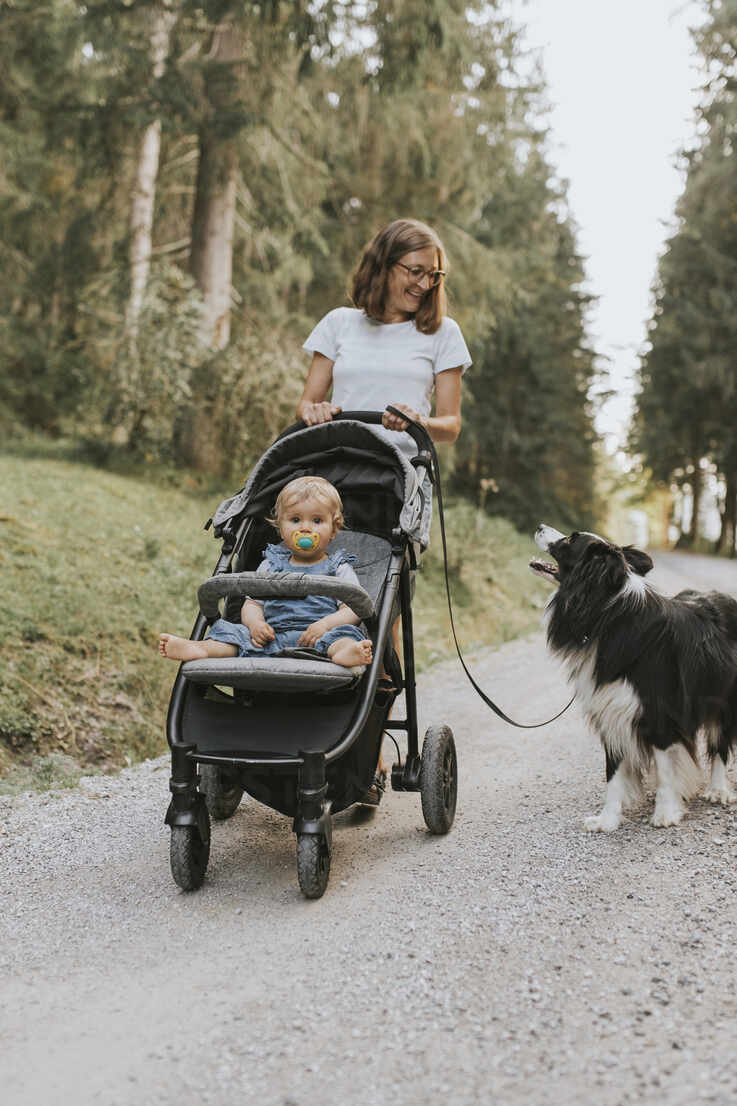 dog and baby stroller