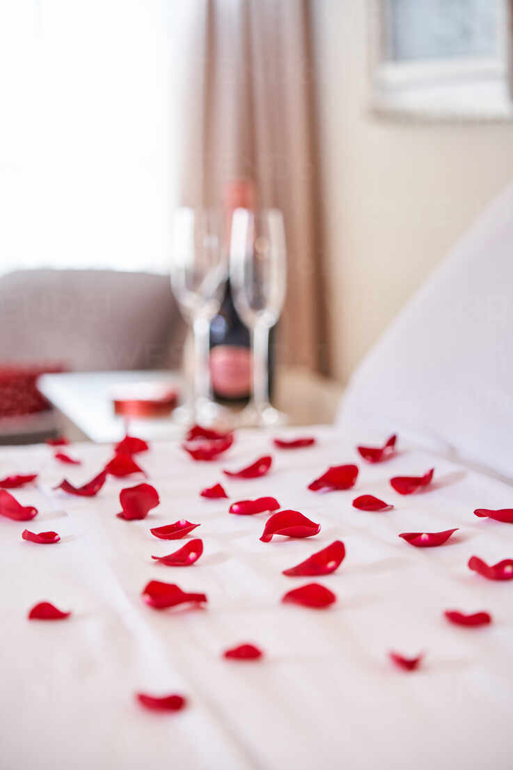 Red Rose Petals On White Bed Against Blurred Wineglasses And Bottle Of Drink On Table In