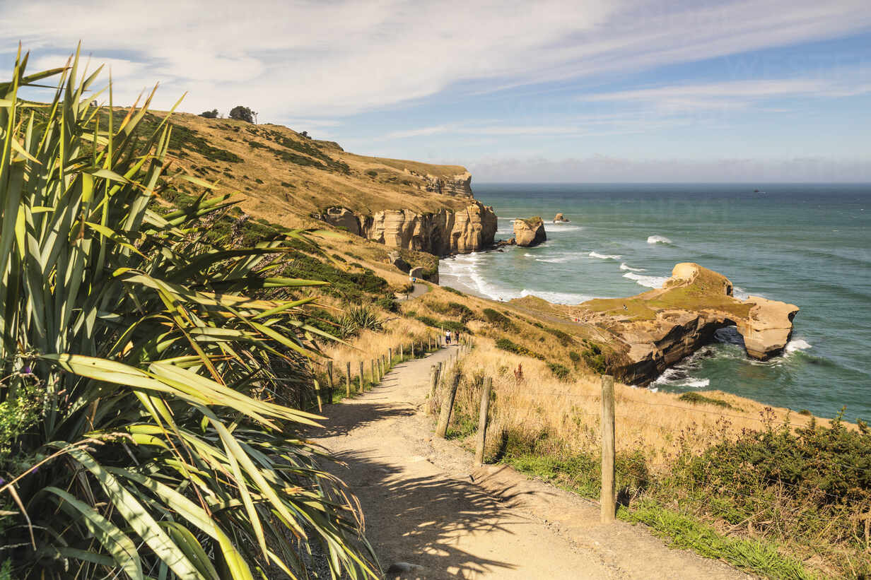Hiking Path To Tunnel Beach Dunedin Otago South Island New Zealand Pacific Stockphoto